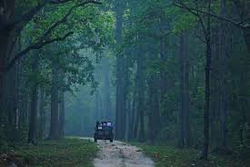 Kanha Panna Tour
