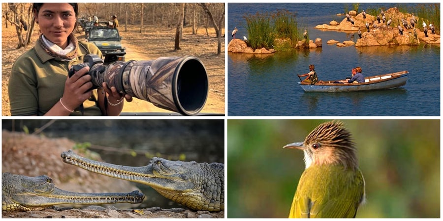 Panna Photography Tour